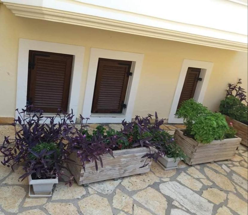 Villa Karolina Tsogkas Sivota  Exterior photo